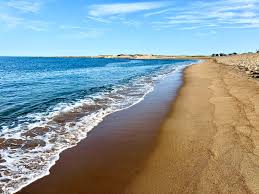 Plum Island Southold NY 11957